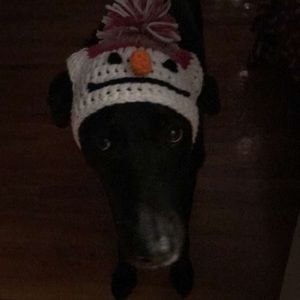 Meet your Posher, Patricia